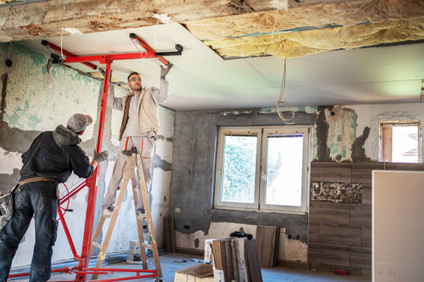 Best Insulation Maintenance and Repair in Murphysboro, IL